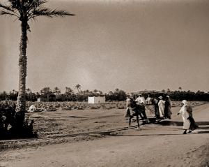 ضواحي مدينة بسكرة في سنة 1920