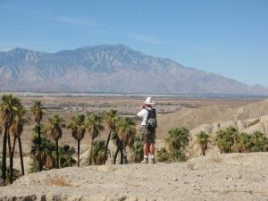 واحة نخيل بولاية بسكرة