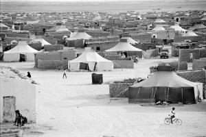 ملجأ صحراوي بولاية تندوف