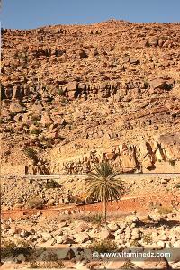 Sortie de Moghrar, Gtob El Moghrar