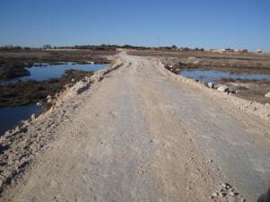 الساسي يتحدى الطبيعة..