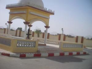 باب شرڨي بمدينة ڨمار (ولاية الواد)