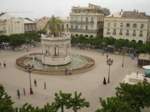 وسيط مدينة بليدة