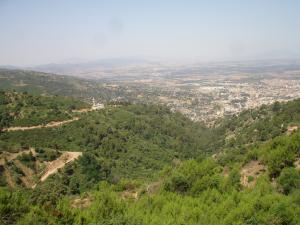 مسجد على الطريق المؤدي إلى بلدية شريعة (ولاية بليدة)