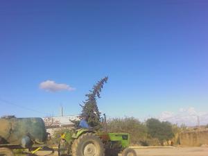 pas de sante dans gaddaha