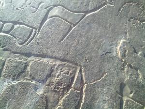 gravures rupestres à aghit