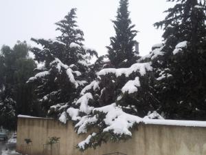 Ville de ZEBOUDJA (Chlef).