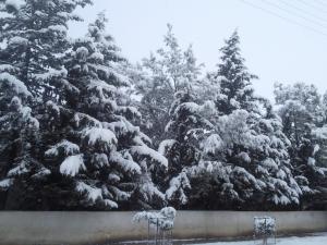 Ville de ZEBOUDJA (Chlef)