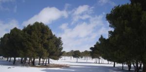 الثلوج واللوحات الطبيعية الجميلة