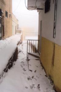 NEIGE A TIARET