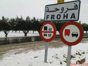 froha  فروحة