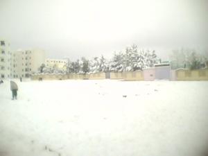 La nature recouverte de neige