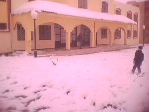 La nature recouverte de neige