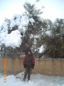 La nature recouverte de neige