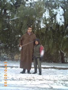 Froid et neige au jardin : dégâts et avantages