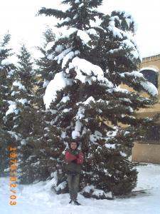 Dégâts potentiels causés par le gel et la neige