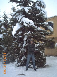 Froid et neige au jardin : dégâts et avantages