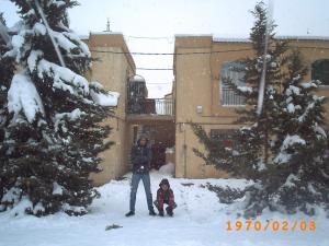 Froid et neige au jardin : dégâts et avantages