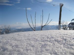 El hassania sous la Neige