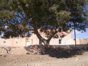 المسجد العتيق لتاجرونة...