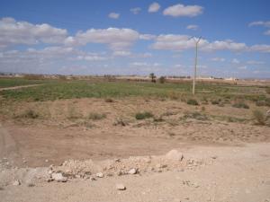 ضاية تاجرونة