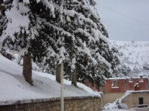 قرية أولاد علي تحت الثوج