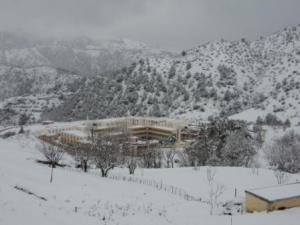 قرية أولاد علي تحت الثوج