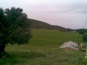 منظر طبيعي من منطقة تاويزنت قرب جبل أڨدي