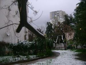 مدينة الجزائر العاصمة تحت الثلوج