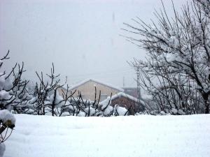 قرية  تاڨرسيفت  تحت الثلوج