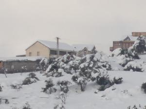 مسجد قرية  طالة تڨانة