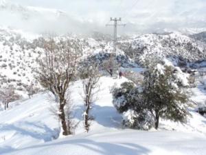 منطقة  المروج  تحت الثلوج