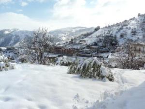 منطقة  المروج  تحت الثلوج