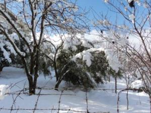 قرية  المروج  تحت الثلوج