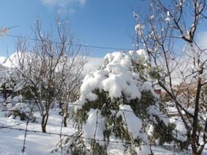 قرية  المروج  تحت الثلوج