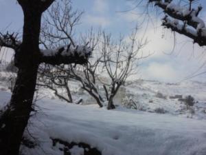 قرية  المروج  تحت الثلوج