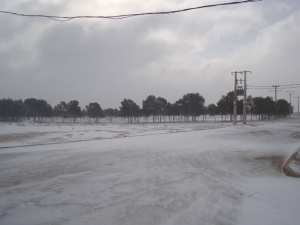 غابة معمورة تحت الثلوج