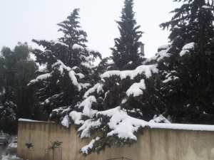 مدينة زبوجة تحت الثلوج