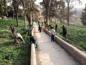 volonrariat de reboisement