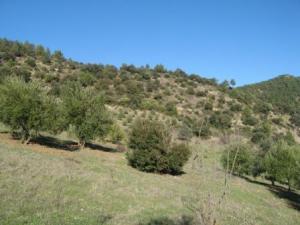 Paysage naturel de Draa Kébila