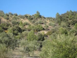 Paysage naturel de Draa Kébila