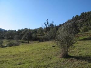 Paysage naturel de Draa Kébila