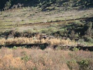 Paysage naturel de Draa Kébila