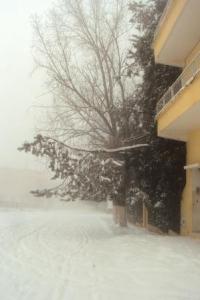 NEIGE A TIARET