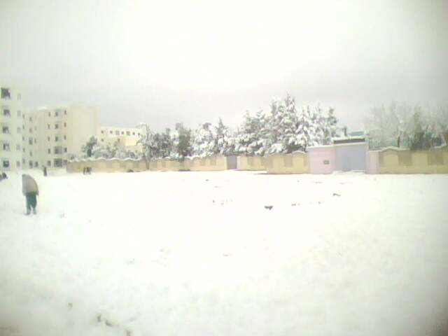 La nature recouverte de neige