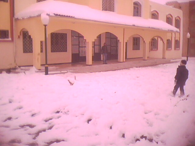 La nature recouverte de neige