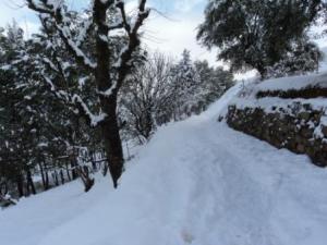 Lemroudj sous la neige