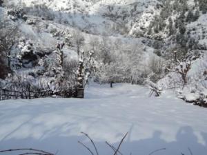 Lemroudj sous la neige