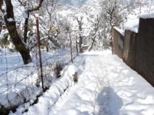 Lemroudj sous la neige