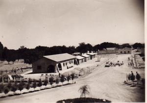 صورة قديمة لتربية البعير بمنطقة شرية